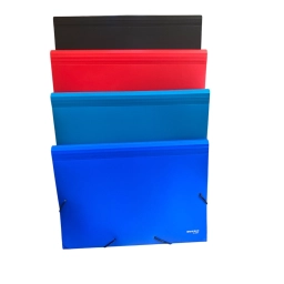 CARPETA 13 DIVISIONES A4 YIL 5551 C/ELASTICO